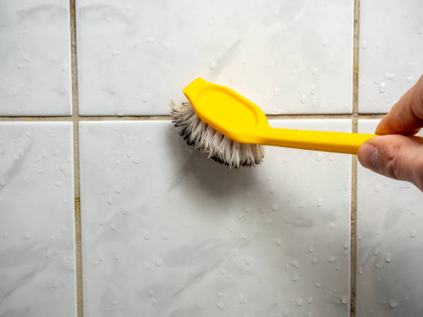 Best Mold Remediation  in Montgomery, WV
