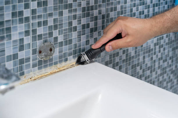 Best Toxic Mold Removal  in Montgomery, WV